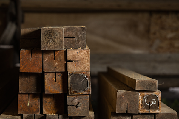 木を知っている